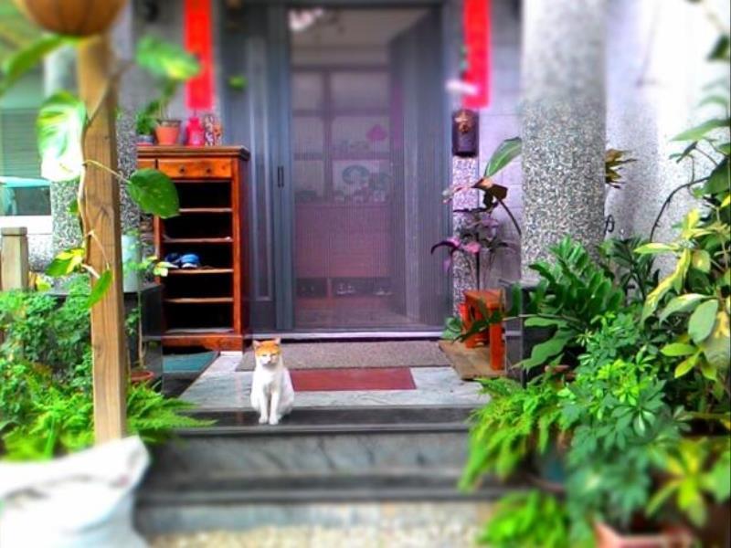 Shuiyue Guest House Hualien Extérieur photo
